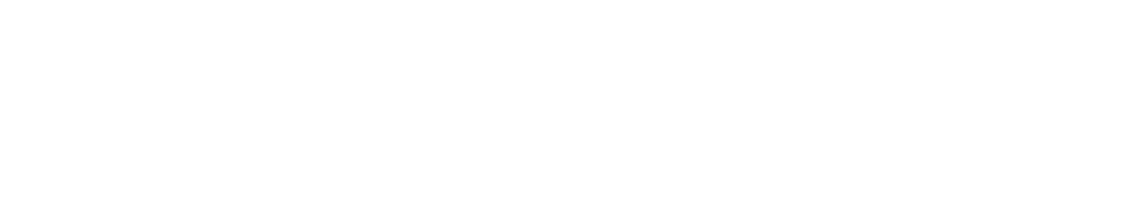logoipsum-4.png